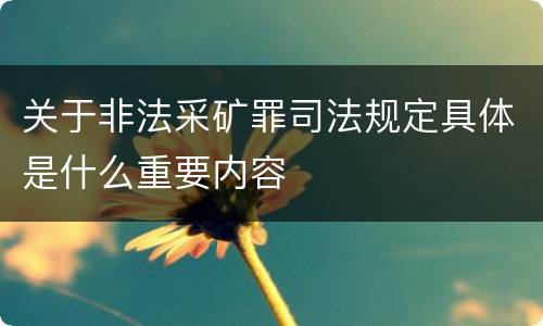 关于非法采矿罪司法规定具体是什么重要内容