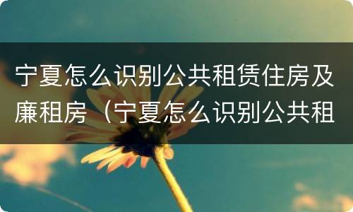 宁夏怎么识别公共租赁住房及廉租房（宁夏怎么识别公共租赁住房及廉租房呢）