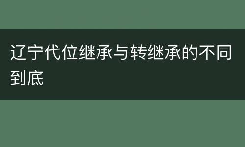 辽宁代位继承与转继承的不同到底