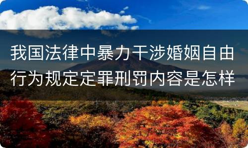 我国法律中暴力干涉婚姻自由行为规定定罪刑罚内容是怎样