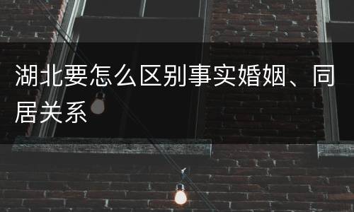 湖北要怎么区别事实婚姻、同居关系