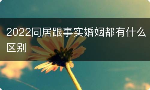 2022同居跟事实婚姻都有什么区别