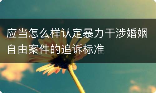 应当怎么样认定暴力干涉婚姻自由案件的追诉标准