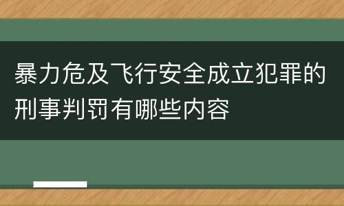 暴力危及飞行安全成立犯罪的刑事判罚有哪些内容