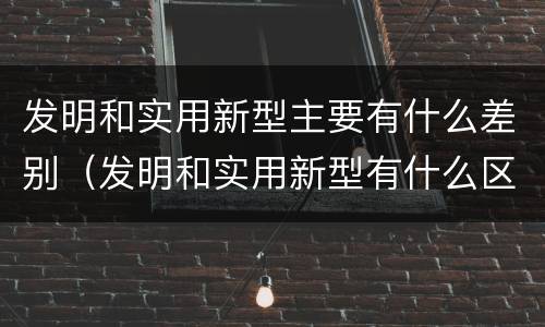 发明和实用新型主要有什么差别（发明和实用新型有什么区别）