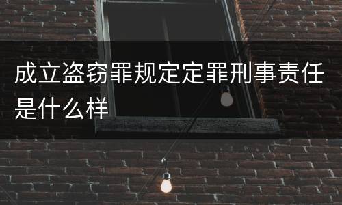 成立盗窃罪规定定罪刑事责任是什么样