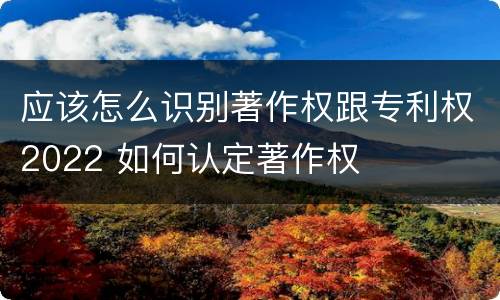 应该怎么识别著作权跟专利权2022 如何认定著作权