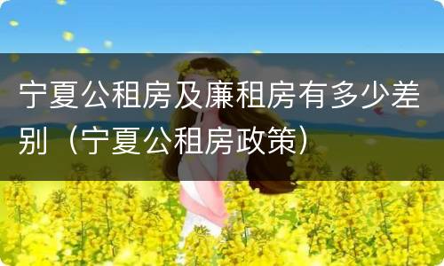 宁夏公租房及廉租房有多少差别（宁夏公租房政策）