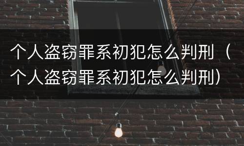 个人盗窃罪系初犯怎么判刑（个人盗窃罪系初犯怎么判刑）