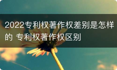2022专利权著作权差别是怎样的 专利权著作权区别