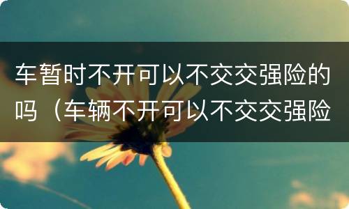 车暂时不开可以不交交强险的吗（车辆不开可以不交交强险吗）