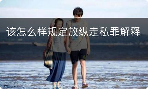 该怎么样规定放纵走私罪解释