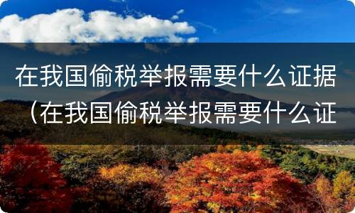 在我国偷税举报需要什么证据（在我国偷税举报需要什么证据才能立案）