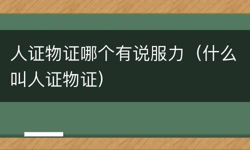人证物证哪个有说服力（什么叫人证物证）