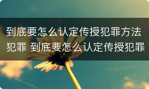 到底要怎么认定传授犯罪方法犯罪 到底要怎么认定传授犯罪方法犯罪证明