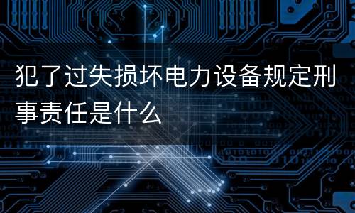 犯了过失损坏电力设备规定刑事责任是什么