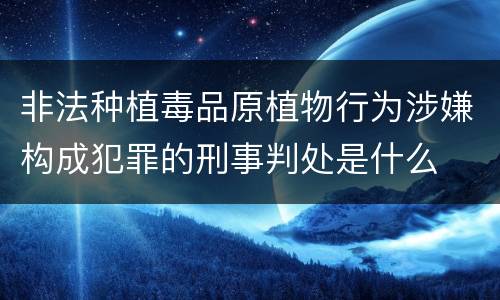 非法种植毒品原植物行为涉嫌构成犯罪的刑事判处是什么