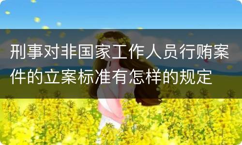 刑事对非国家工作人员行贿案件的立案标准有怎样的规定