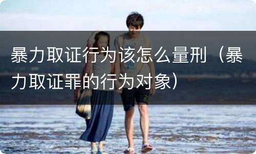 暴力取证行为该怎么量刑（暴力取证罪的行为对象）