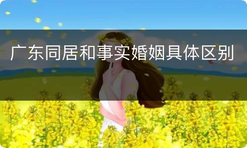 广东同居和事实婚姻具体区别