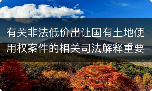 有关非法低价出让国有土地使用权案件的相关司法解释重要内容包括什么