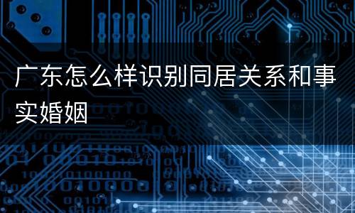 广东怎么样识别同居关系和事实婚姻