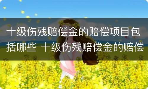 十级伤残赔偿金的赔偿项目包括哪些 十级伤残赔偿金的赔偿项目包括哪些内容