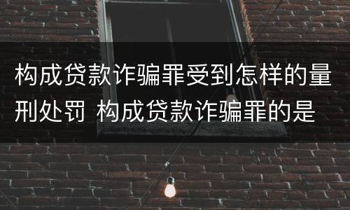 构成贷款诈骗罪受到怎样的量刑处罚 构成贷款诈骗罪的是