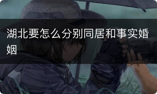 湖北要怎么分别同居和事实婚姻