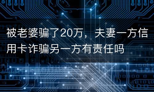 被老婆骗了20万，夫妻一方信用卡诈骗另一方有责任吗