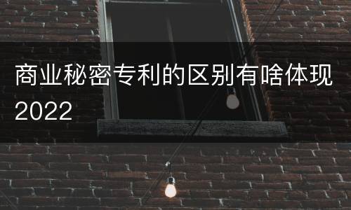 商业秘密专利的区别有啥体现2022