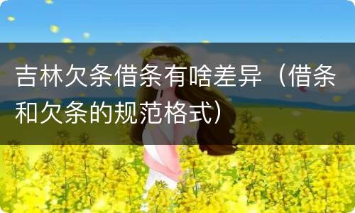吉林欠条借条有啥差异（借条和欠条的规范格式）