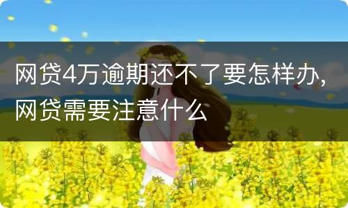 网贷4万逾期还不了要怎样办,网贷需要注意什么