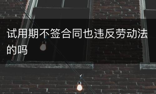 试用期不签合同也违反劳动法的吗