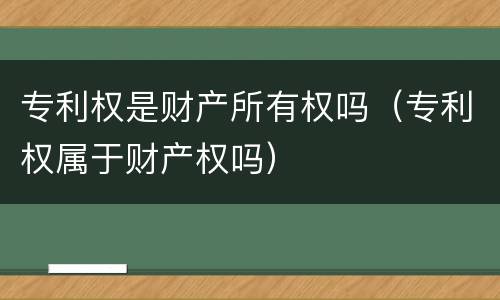 专利权是财产所有权吗（专利权属于财产权吗）
