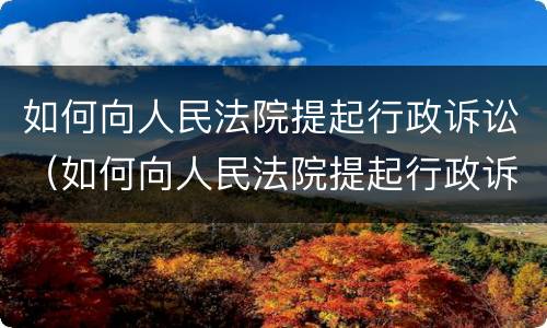 如何向人民法院提起行政诉讼（如何向人民法院提起行政诉讼）