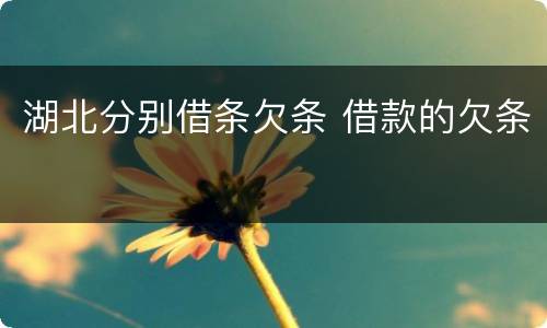 湖北分别借条欠条 借款的欠条