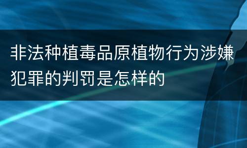 非法种植毒品原植物行为涉嫌犯罪的判罚是怎样的