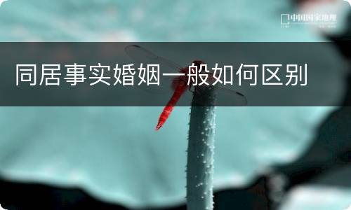 同居事实婚姻一般如何区别