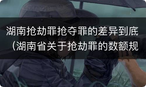 湖南抢劫罪抢夺罪的差异到底（湖南省关于抢劫罪的数额规定）