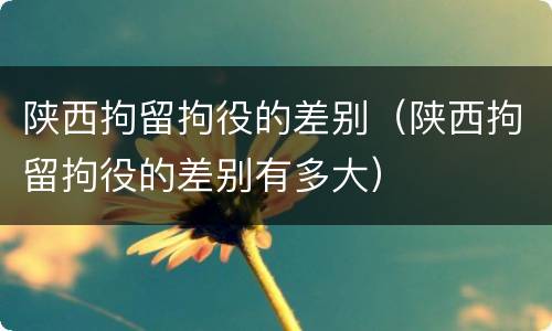 陕西拘留拘役的差别（陕西拘留拘役的差别有多大）
