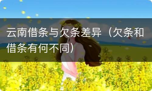 云南借条与欠条差异（欠条和借条有何不同）