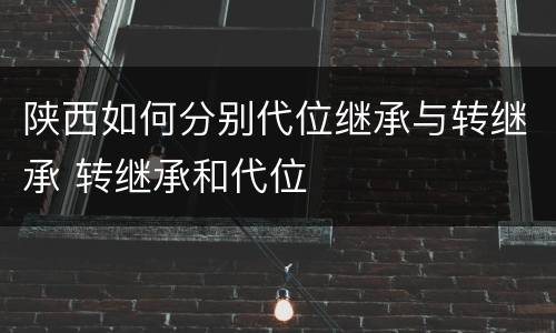 陕西如何分别代位继承与转继承 转继承和代位