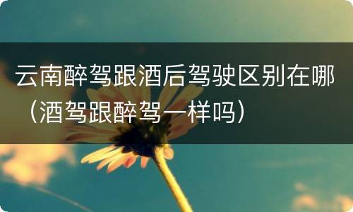 云南醉驾跟酒后驾驶区别在哪（酒驾跟醉驾一样吗）