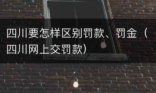 四川要怎样区别罚款、罚金（四川网上交罚款）