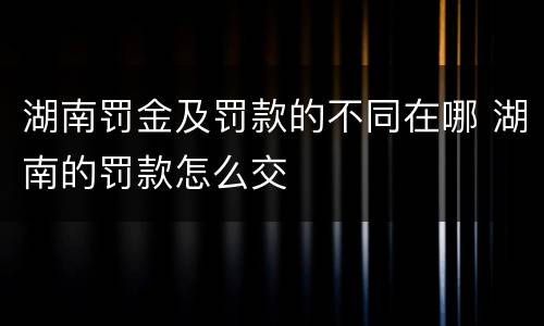 湖南罚金及罚款的不同在哪 湖南的罚款怎么交