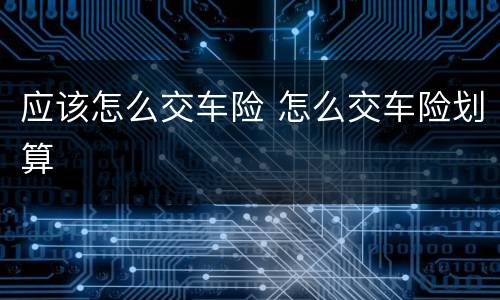 应该怎么交车险 怎么交车险划算