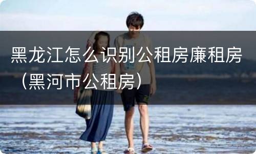 黑龙江怎么识别公租房廉租房（黑河市公租房）