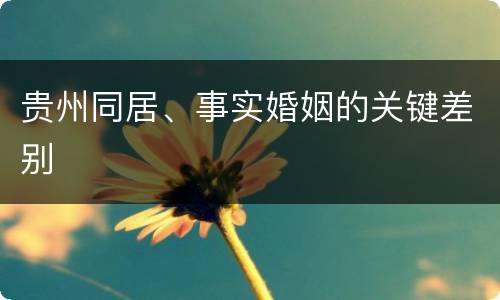 贵州同居、事实婚姻的关键差别