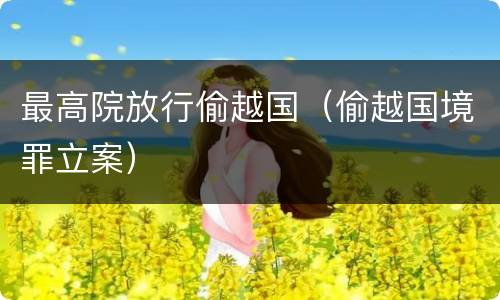 最高院放行偷越国（偷越国境罪立案）